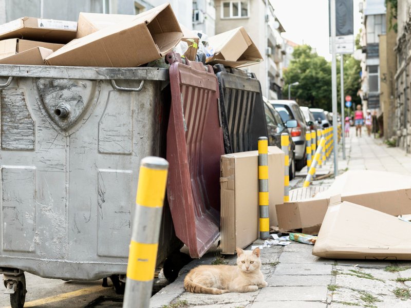Puincontainer huren? Afvalcontainers Korevaar heeft de perfecte oplossing voor jouw afval